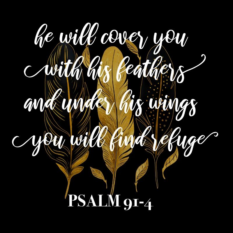 Bibelvers Psalm 91:4