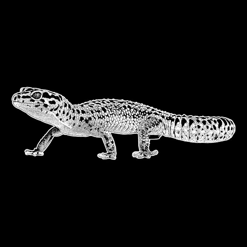 Leopardengecko
