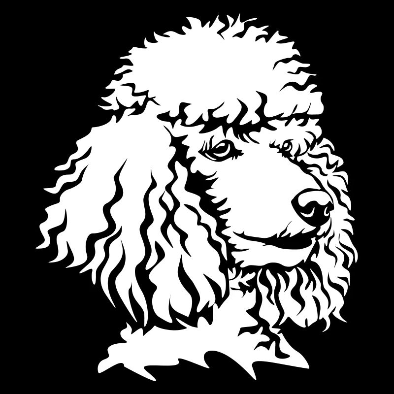 Tête de caniche « Black Edition »