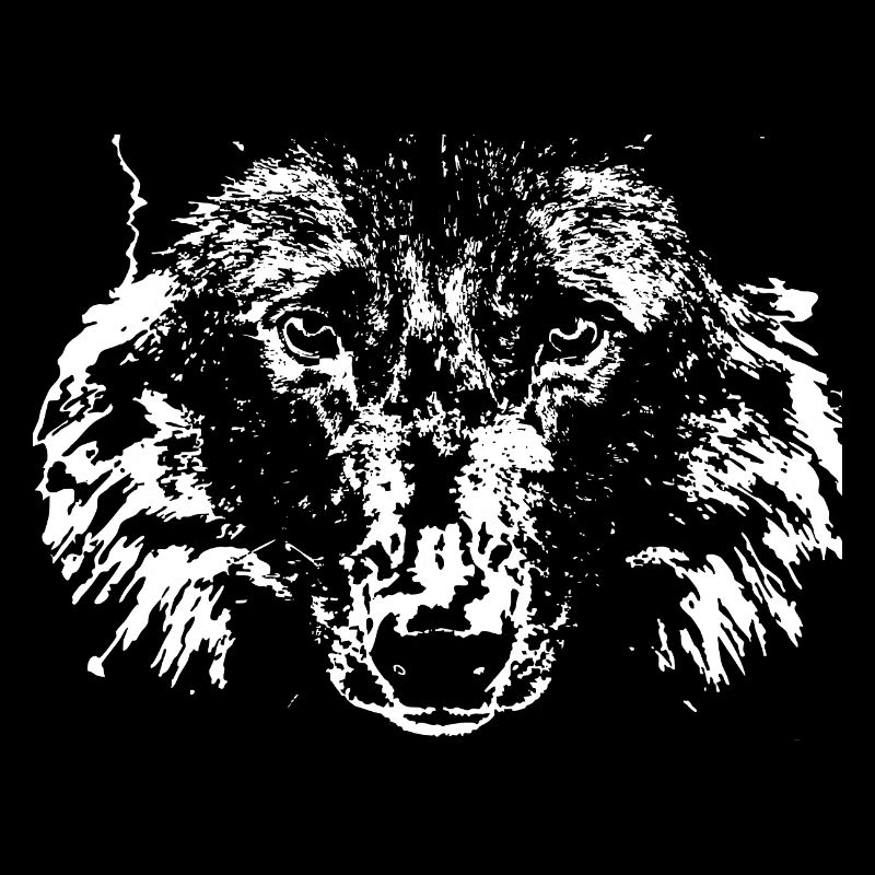 wolf,weiß,illustration,portrait,front