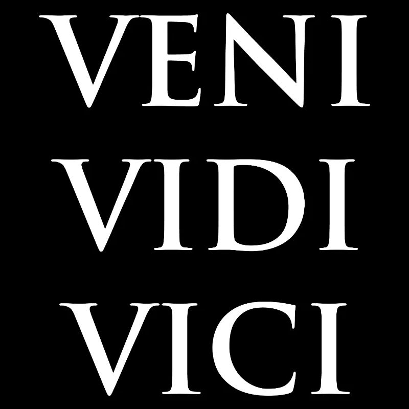 Veni Vidi Vici Bold Phrase