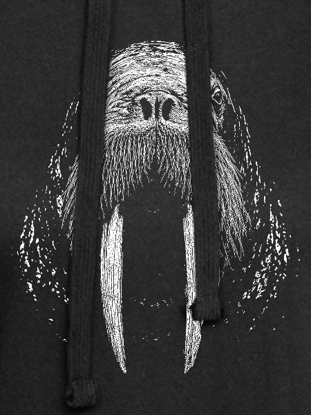 Walrus