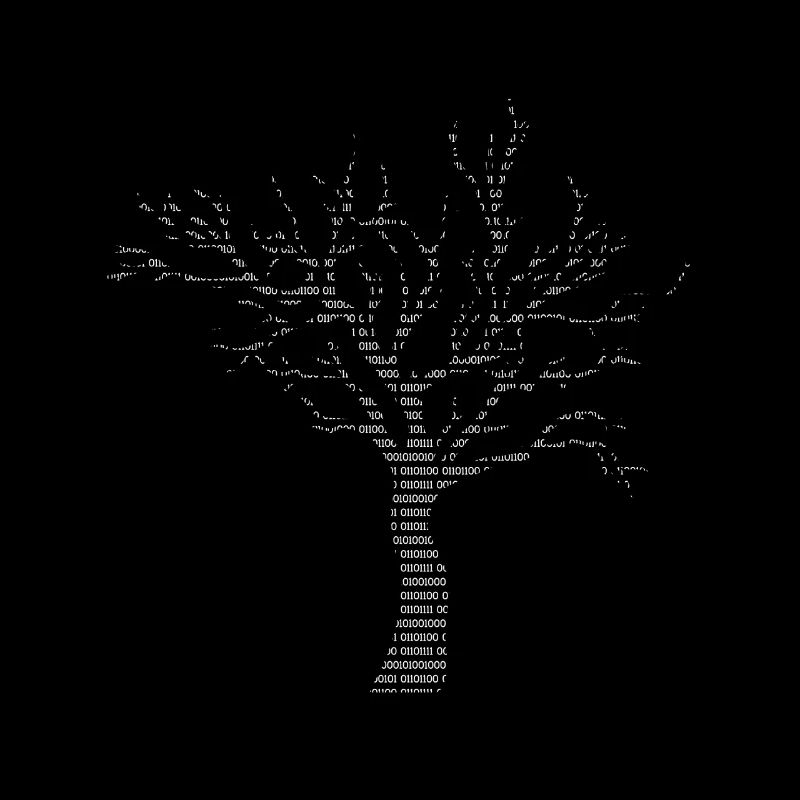 Binary Tree Admin Hacker Coder Programmierer