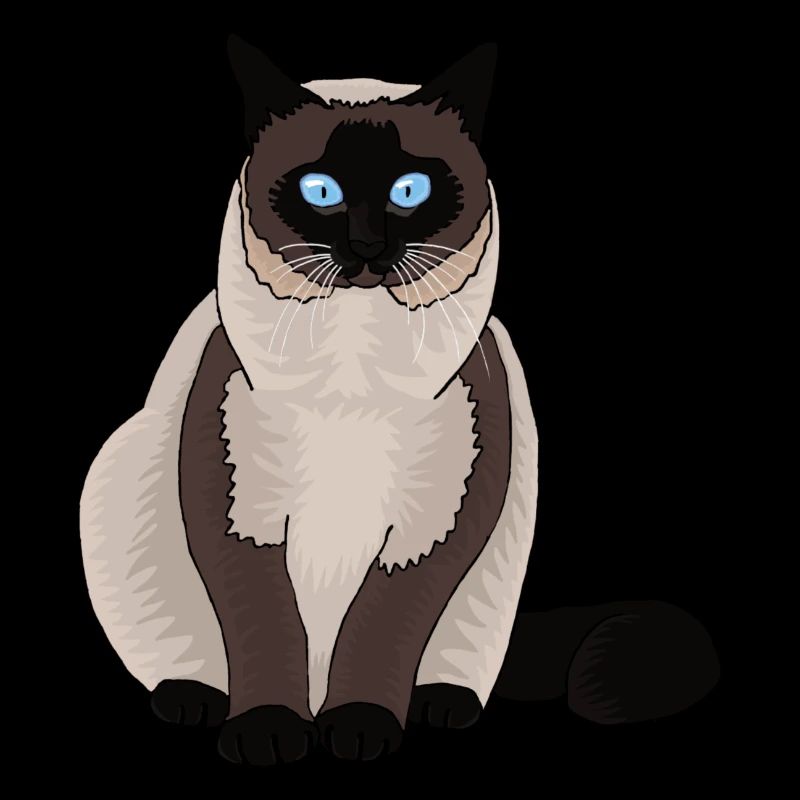 Thick Siamese cat for labeling is looking for can opener