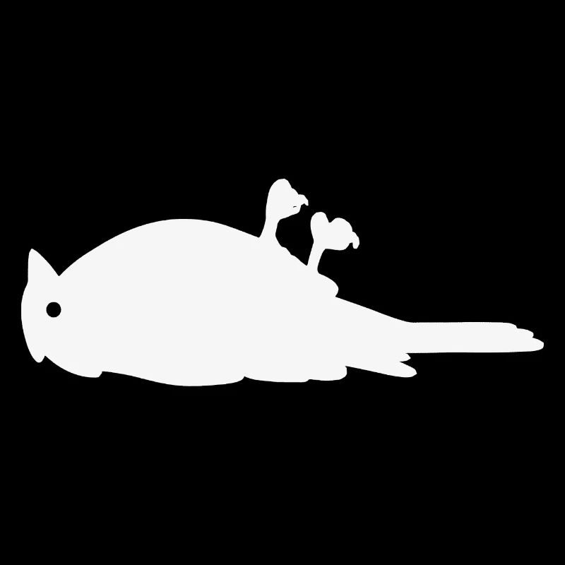 Bird on its back