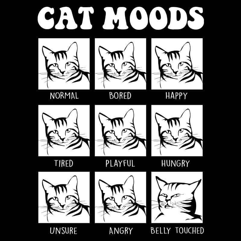 Drôle d’ambiance de chat design de chat pour