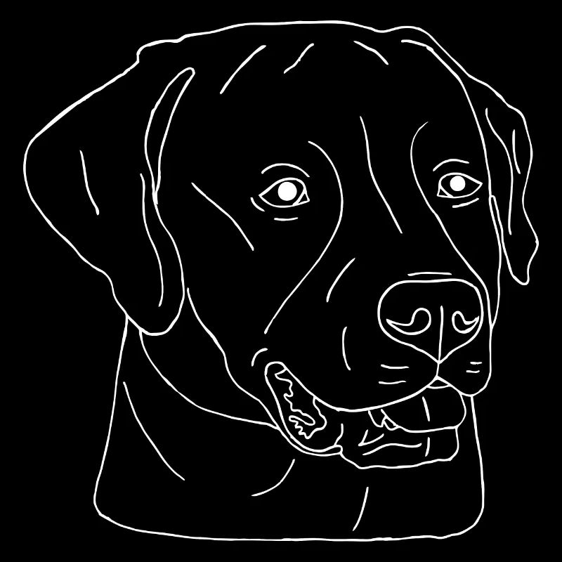 Labrador