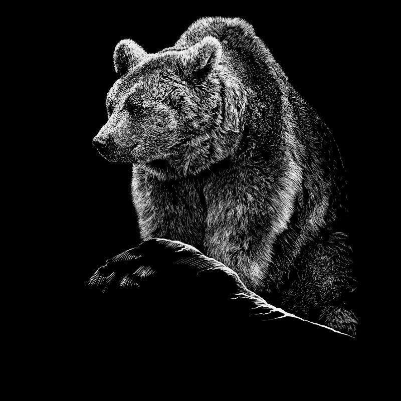 Bär