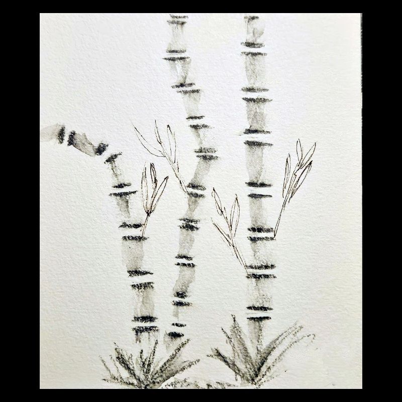 Dessin en bambou à l’encre
