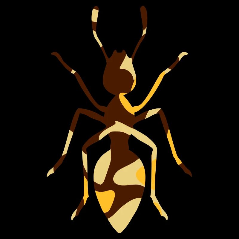 ANT / ANT DE HAUT - CAMO / CAMO