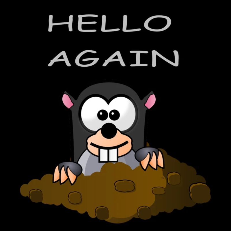 Mole Bonjour Encore une fois