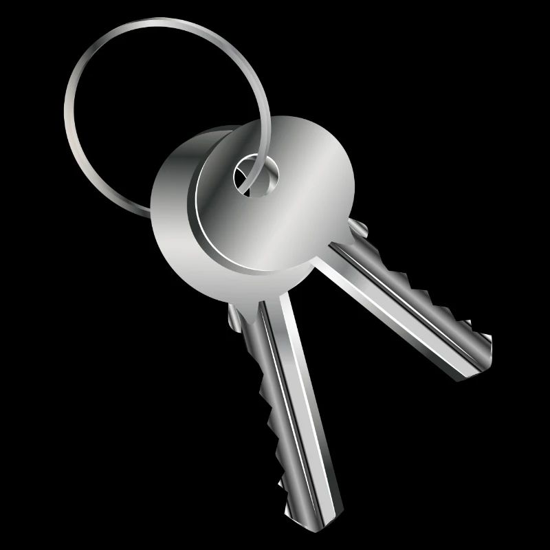 two silver-coloured keys with symbolic character