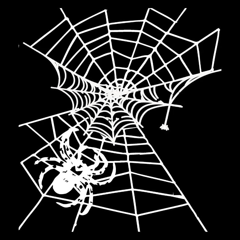 Spider, spider web, white web, Halloween