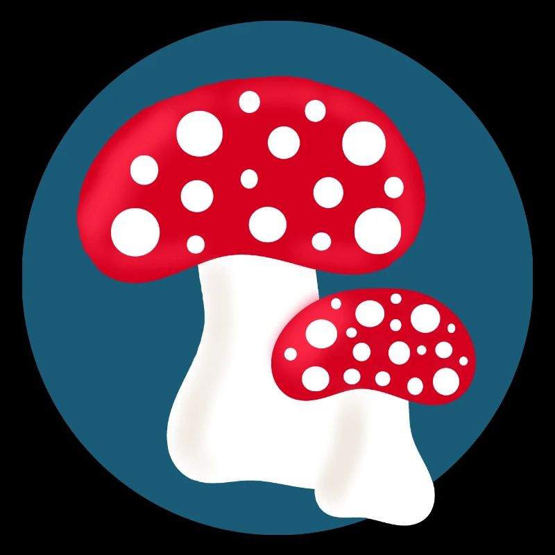 Toadstool, mushroom in the woods gift
