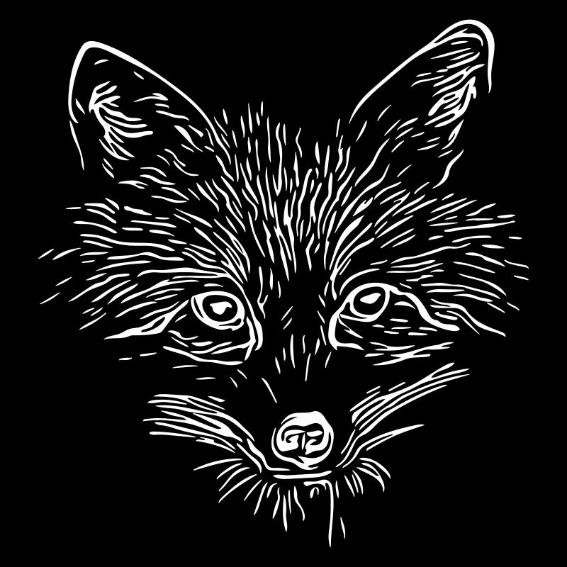 Visage de renard - Visage de renard