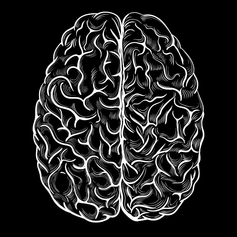 Brain white science chemistry biology brain