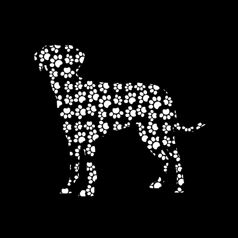 Labrador Hund