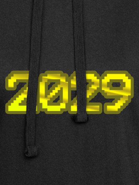 Computer 2029