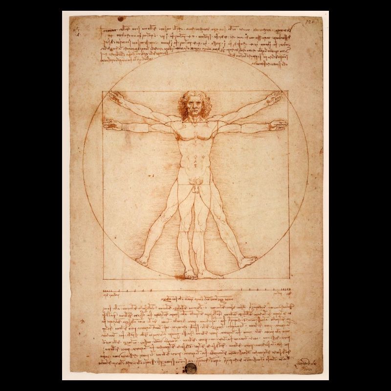 leonardo da vinci human