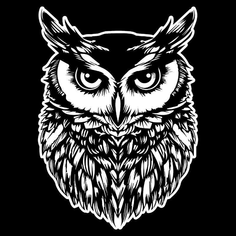 Eule Eulen Vogel Vögel