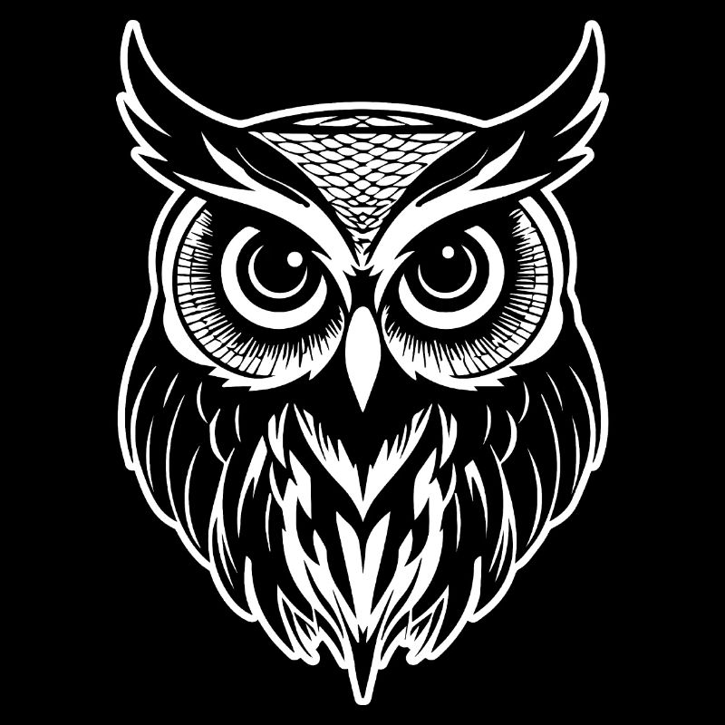 Eule Eulen Vogel Vögel