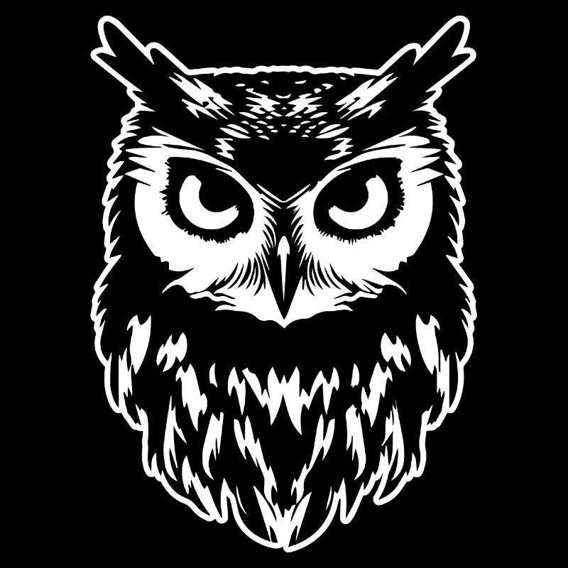 Eule Eulen Vogel Vögel