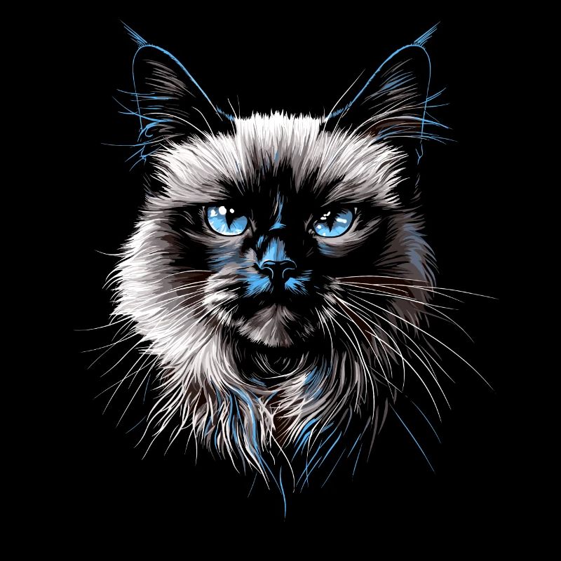 Chat Birman Chat Birman Sacré Chat Birman Mignon Chats Birmans
