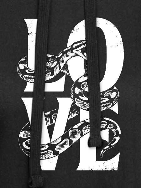 Königspython Schlangen LOVE Terrarium Python