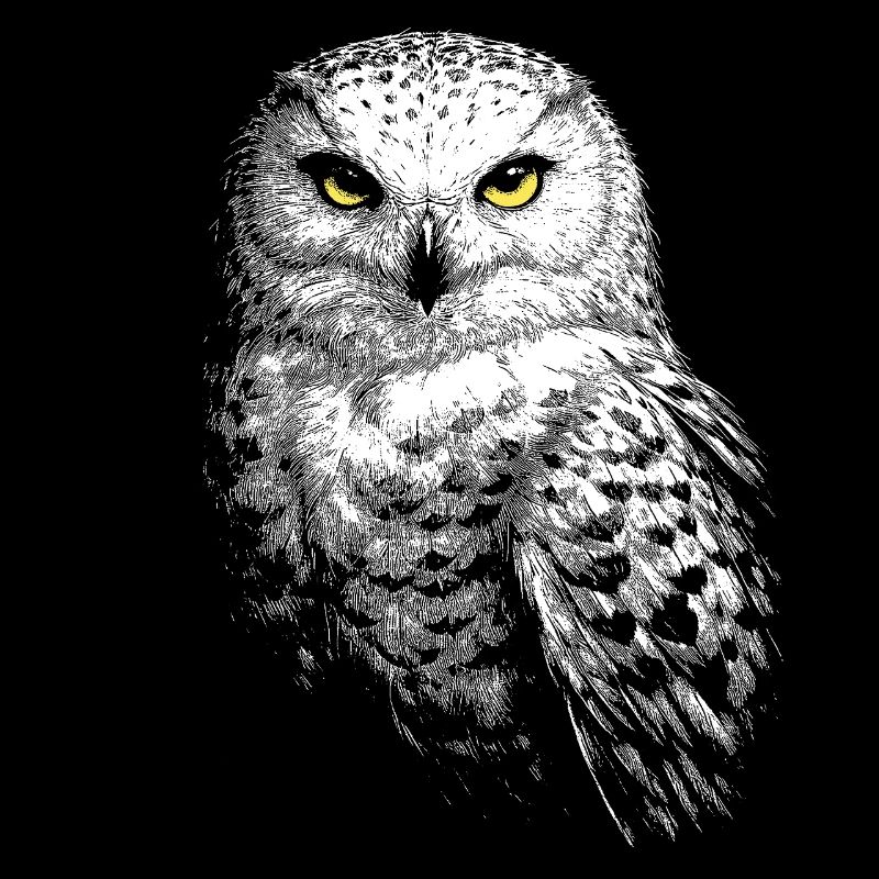 Schneeeule