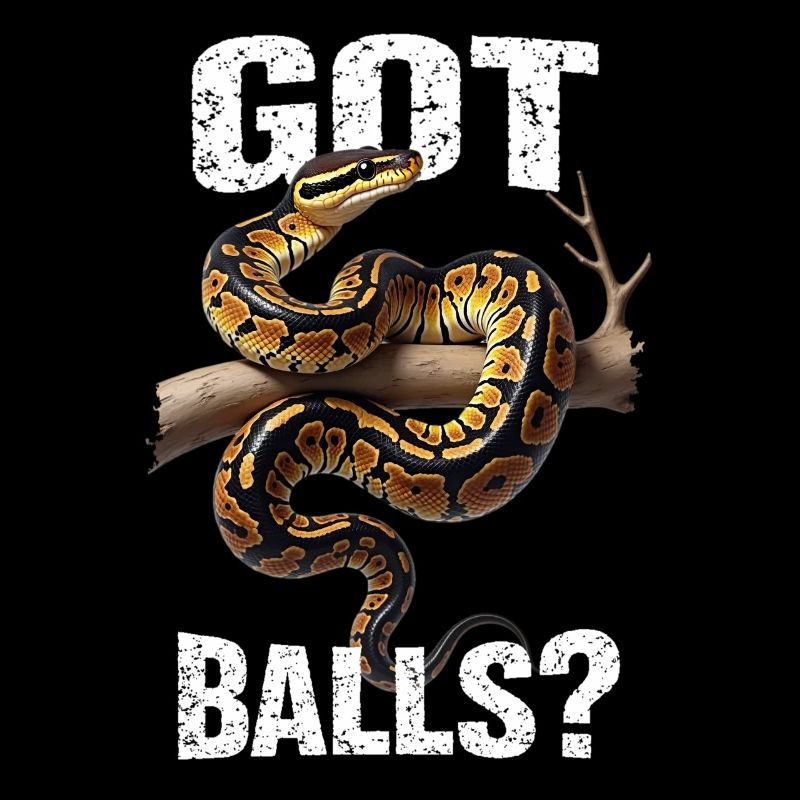 Python roi Serpents Amateurs de terrarium Python