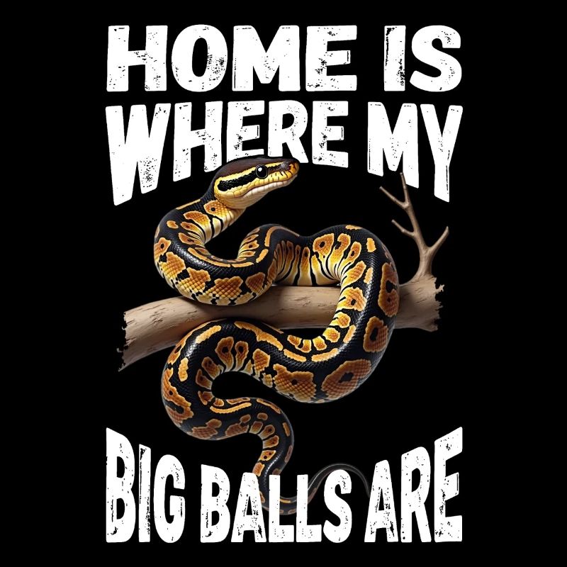 Python roi Serpents Amateurs de terrarium Python