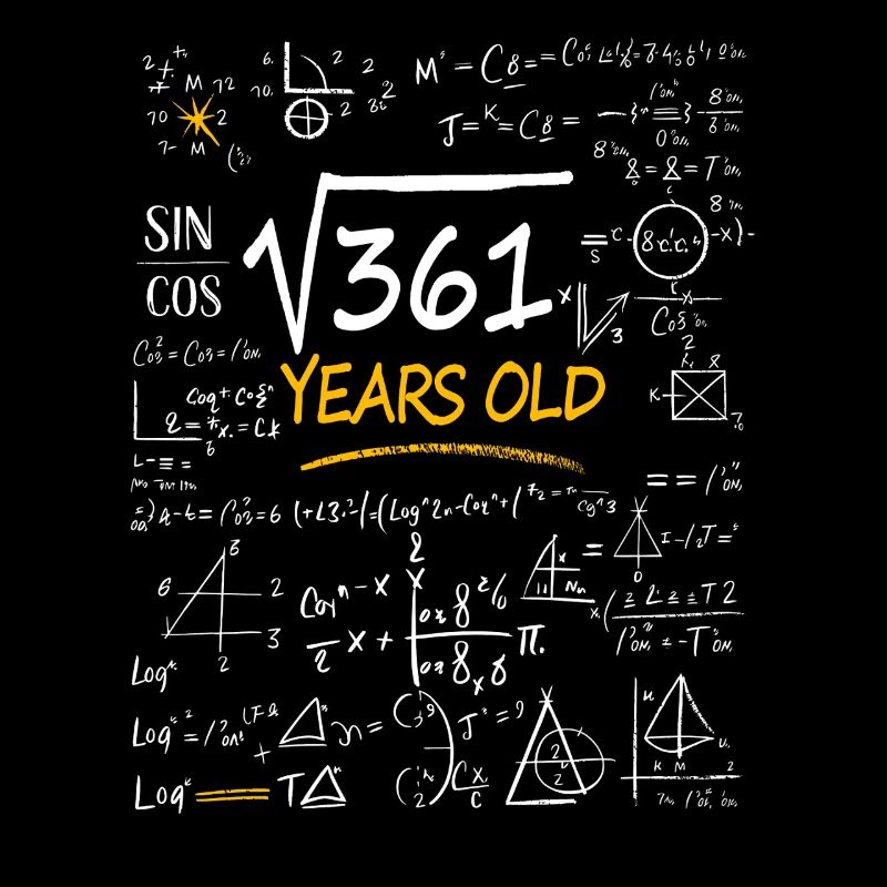 19 Years Birthday Math Formulas Funny
