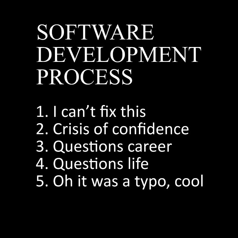 Web Developer Software Development Process Javascr