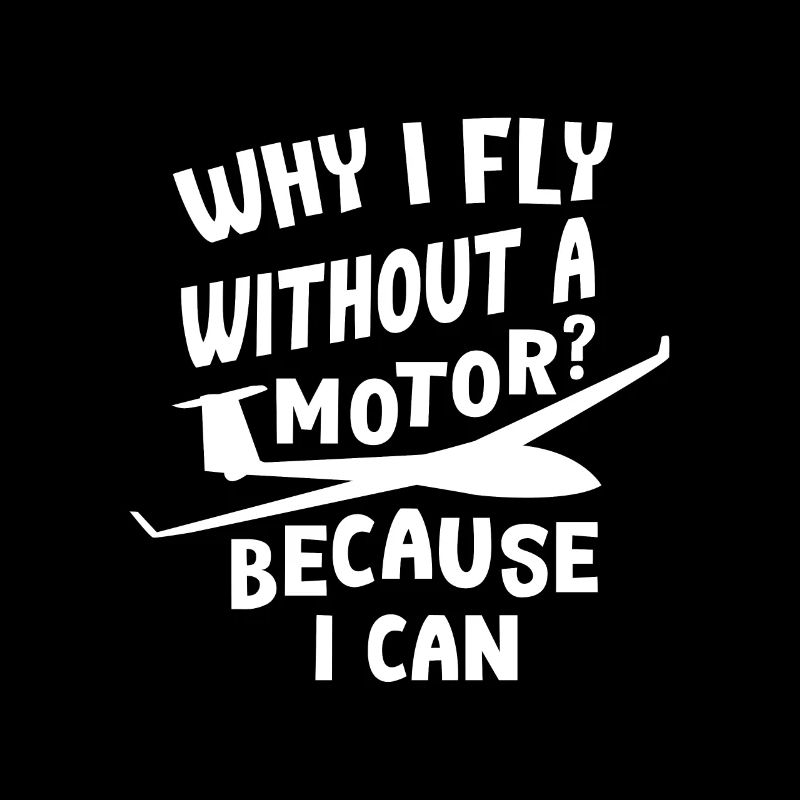 Airplane glider pilot glider gift pilot