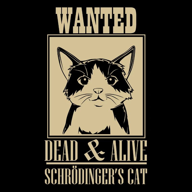Schrödingers Katze Dead & Alive Student Physik