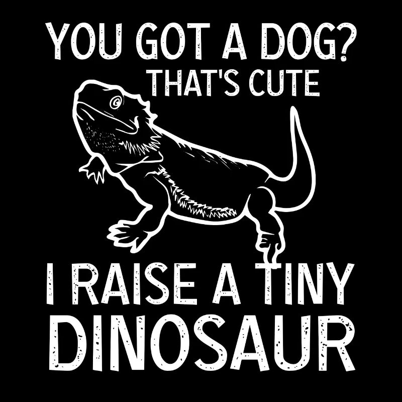 Bärtiger Drachenreptile Echsengärte Winziger