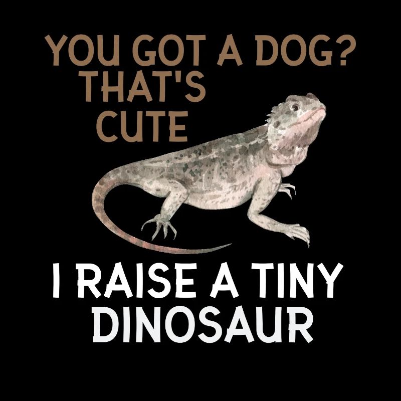 Bärtiger Drachenreptile Echsengärte Winziger