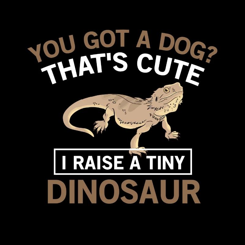 Bärtiger Drachenreptile Echsengärte Winziger