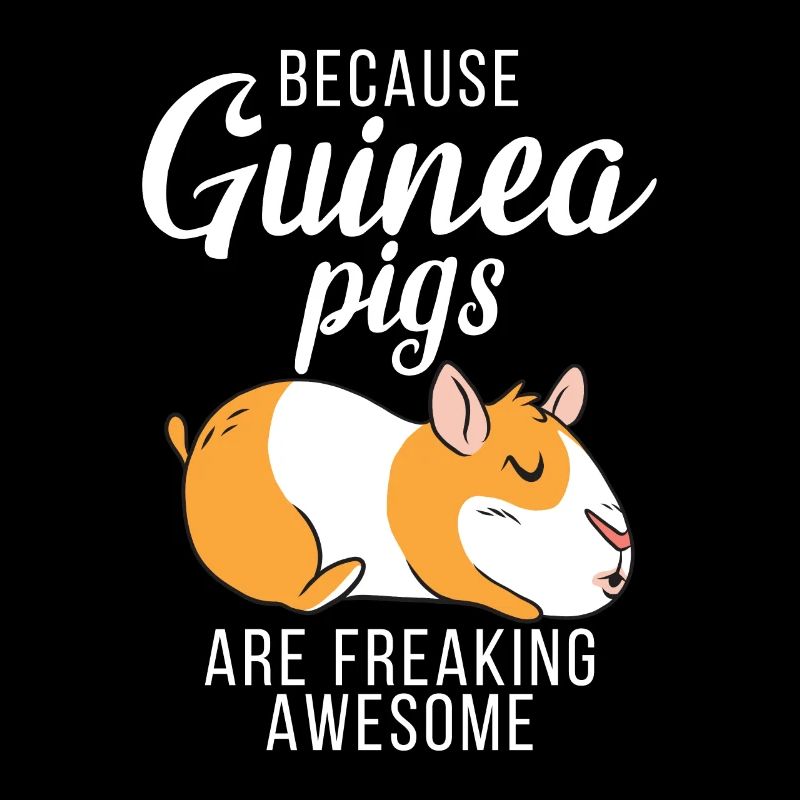 Süßes Meerschweinchen Geschenk