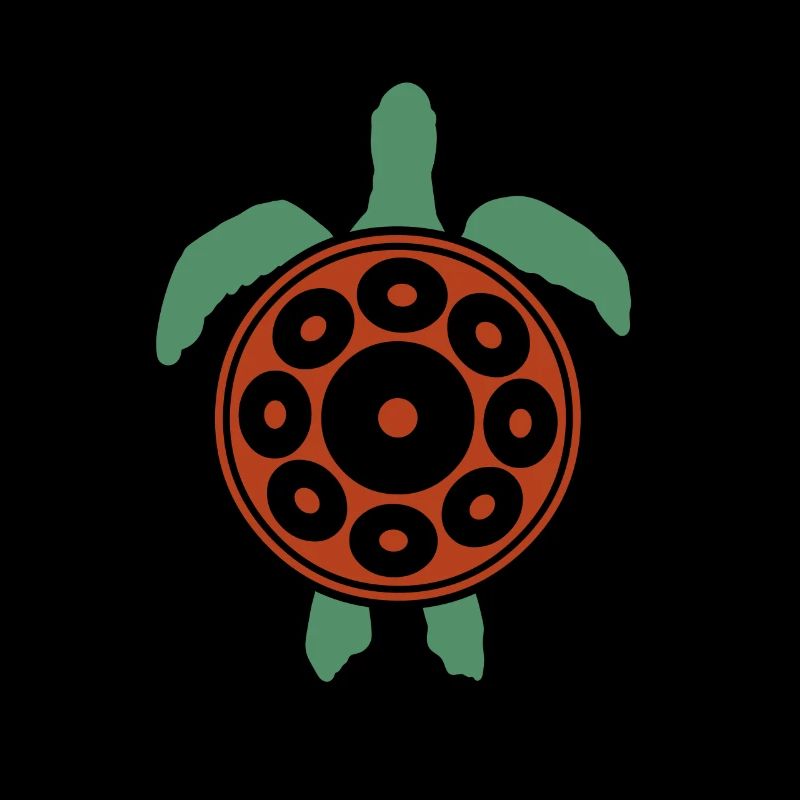 Play Handpan Turtle Handpan