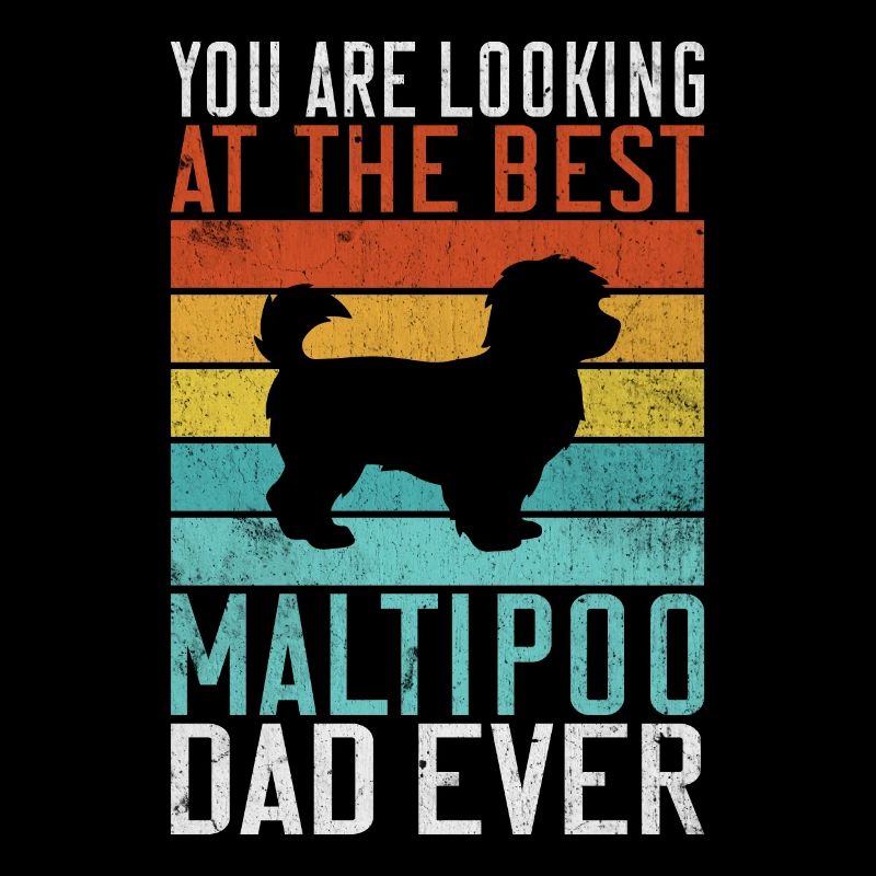 Cadeaux Maltipoo
