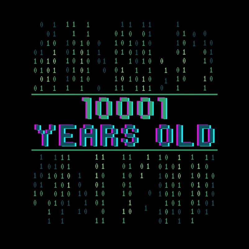 17ème anniversaire 17 ans Code binaire Informatique