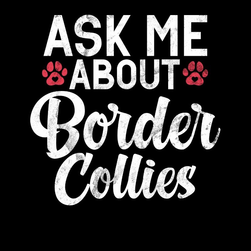 Cadeaux Border Collie