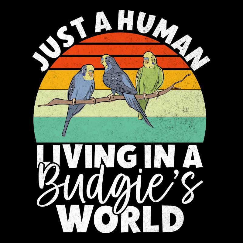 Budgie Gift