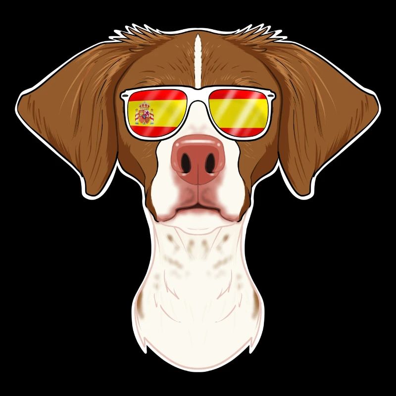 Brittany I Spain Sunglasses I Spanish Flag