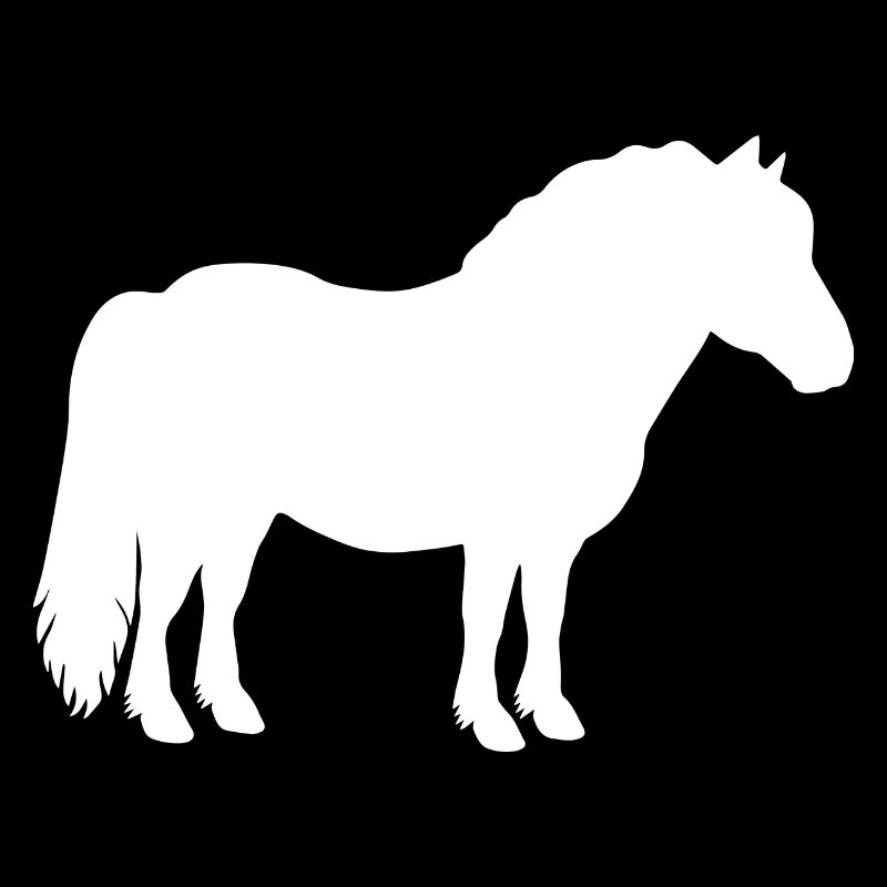 Shetty Shetland poney cheval cavalier dames filles