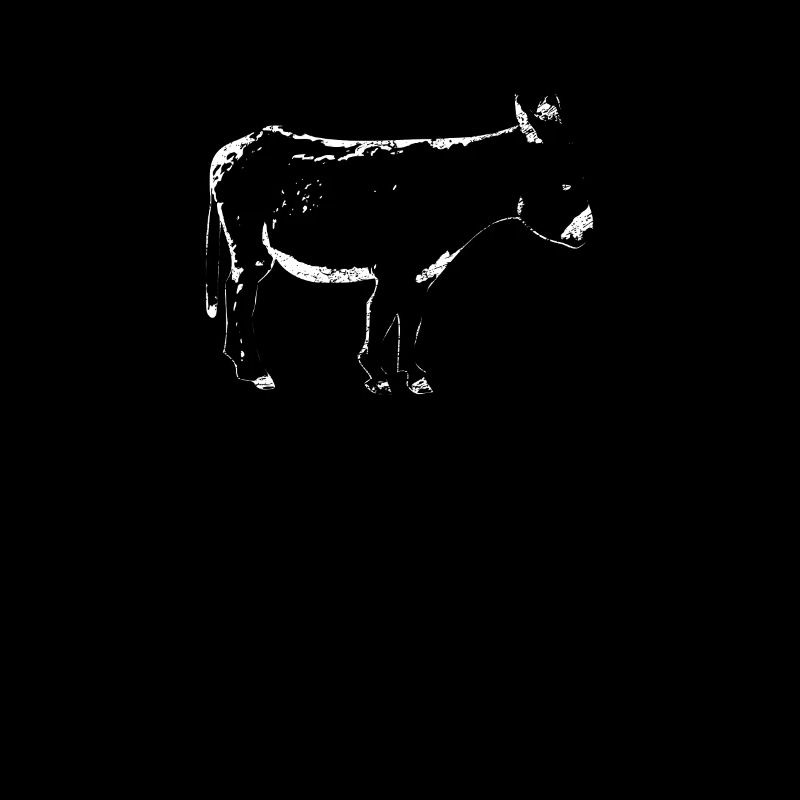 Cute Donkey Mule Mule Gift