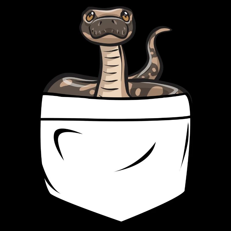 Ball Python Schlange Königspython