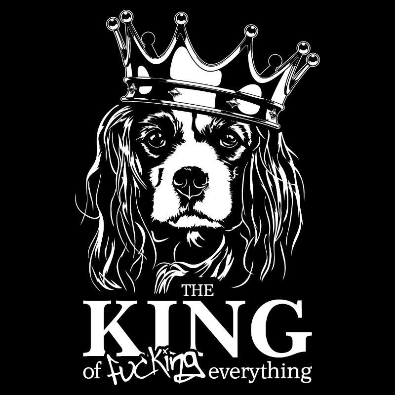 CAVALIER KING CHARLES SPANIEL King Dogs Wilsigns
