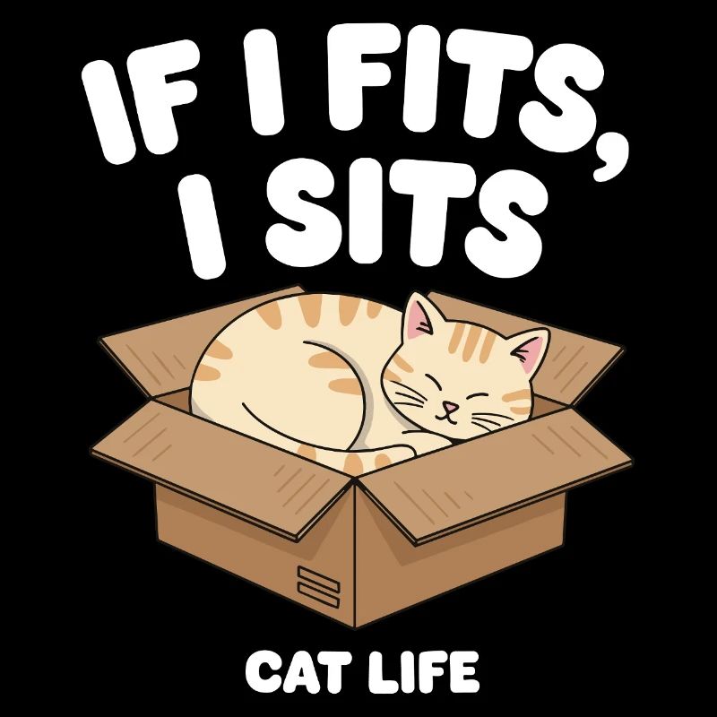 Wenn es passt, sitzt Katze in Box